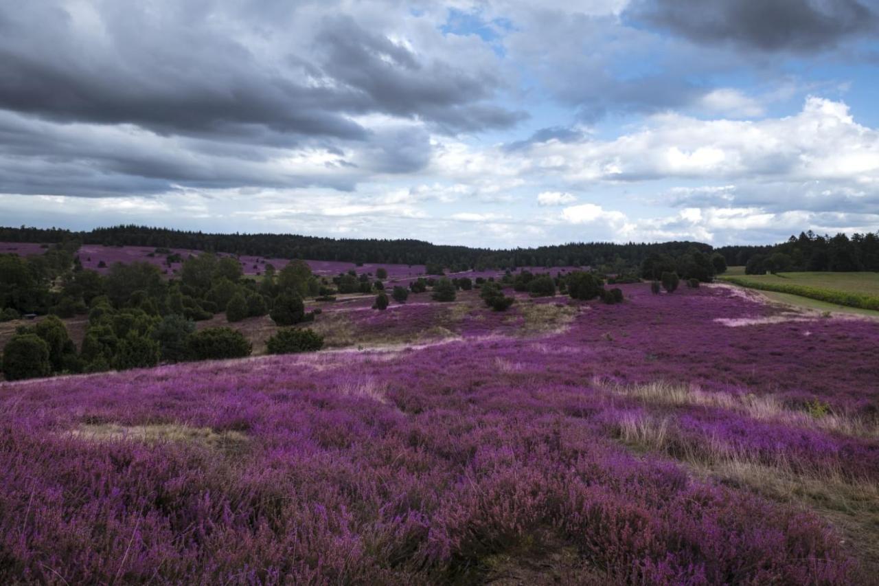 Ferienwohnung Heide View Bispingen Εξωτερικό φωτογραφία