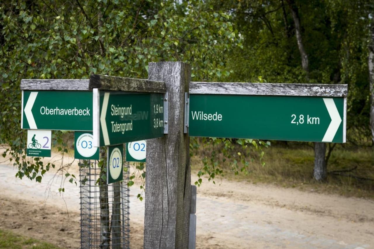 Ferienwohnung Heide View Bispingen Εξωτερικό φωτογραφία