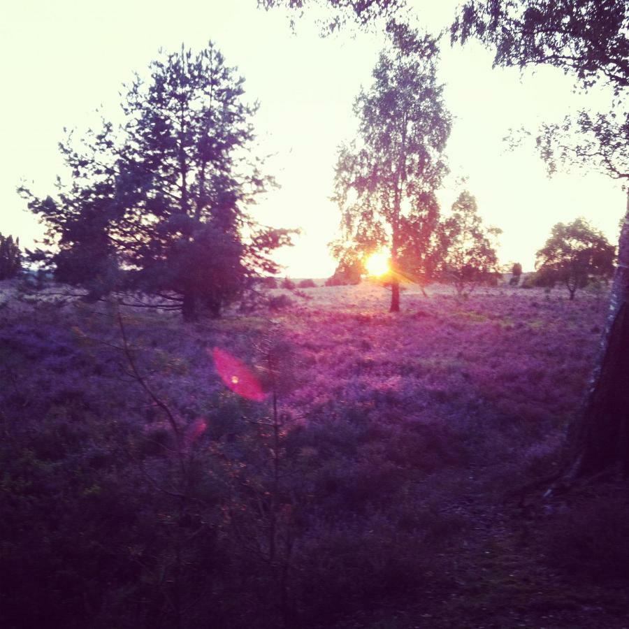 Ferienwohnung Heide View Bispingen Εξωτερικό φωτογραφία