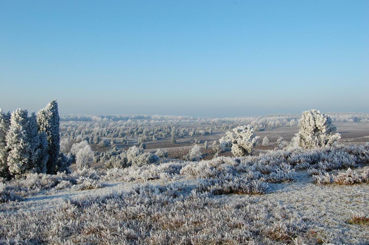 Ferienwohnung Heide View Bispingen Εξωτερικό φωτογραφία
