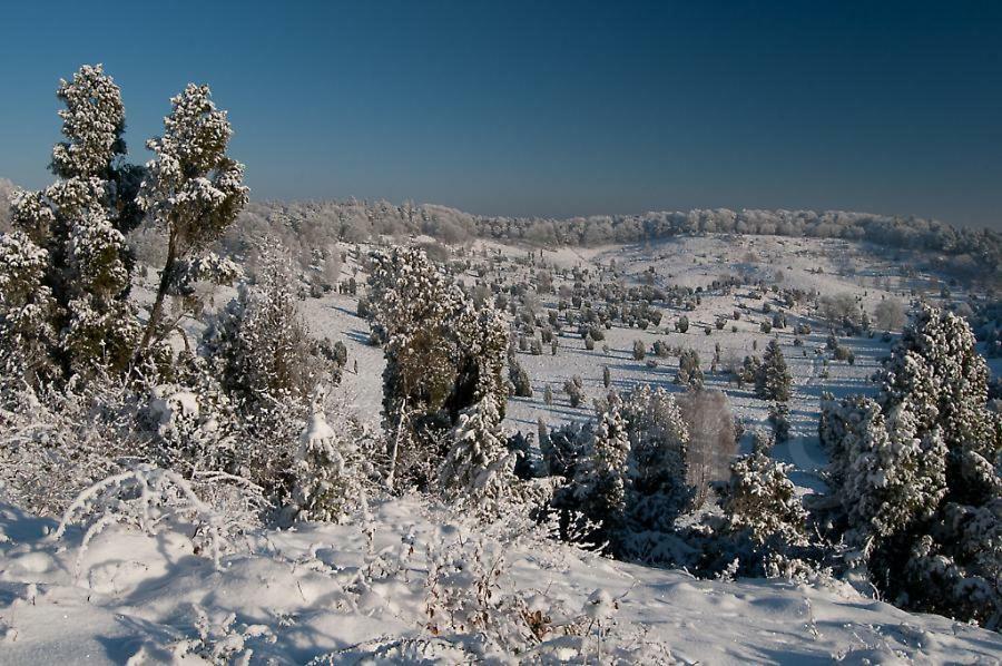 Ferienwohnung Heide View Bispingen Εξωτερικό φωτογραφία
